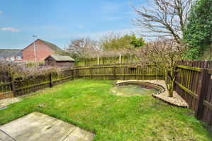 Rear Garden- click for photo gallery